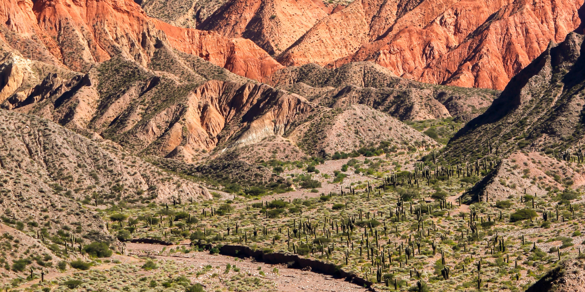 2025-09-13__salta.png